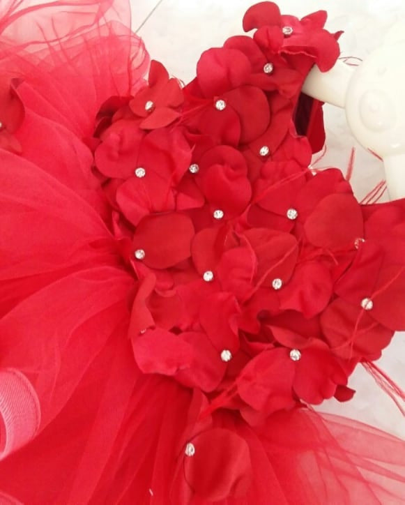 Zolindu Falcon Girls Dress