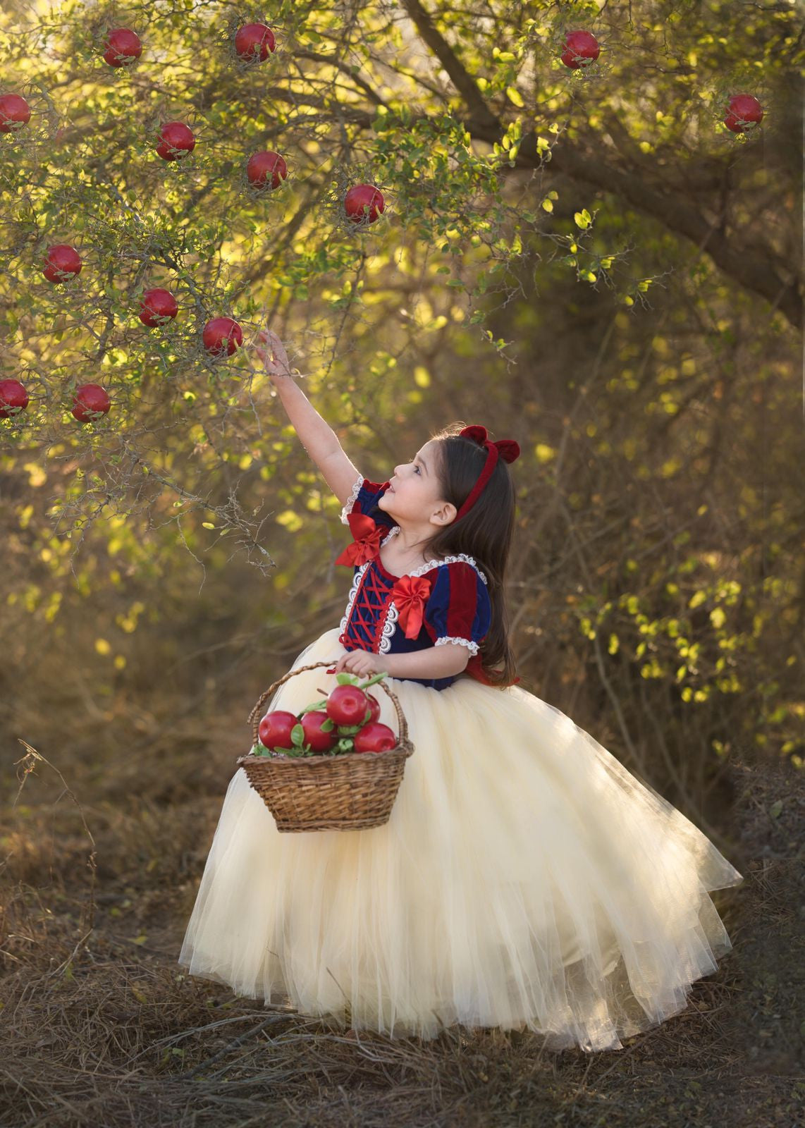 Zolindu Snow White Princess Dress