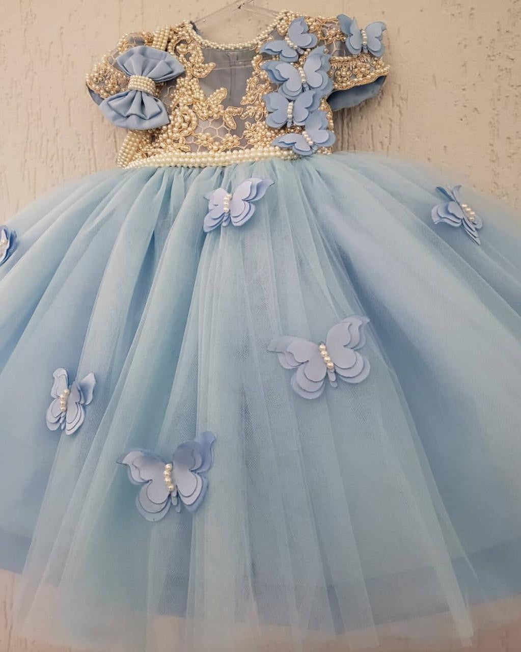 Orla Pearl Hand Embroidered Butterfly luxe Dress