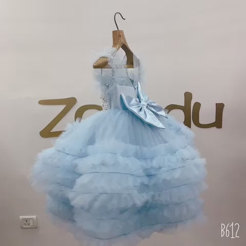 Zolindu Embellished Princess Dress